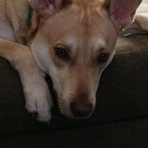 Meet your Posher, Jaime